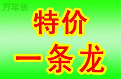 鼓楼江苏省南京市浦口区下葬礼仪
